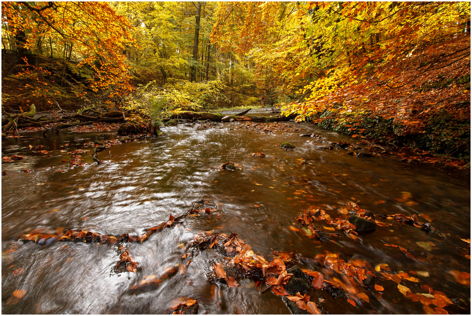 Herbstland