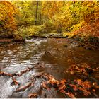 Herbstland