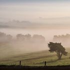 Herbstland