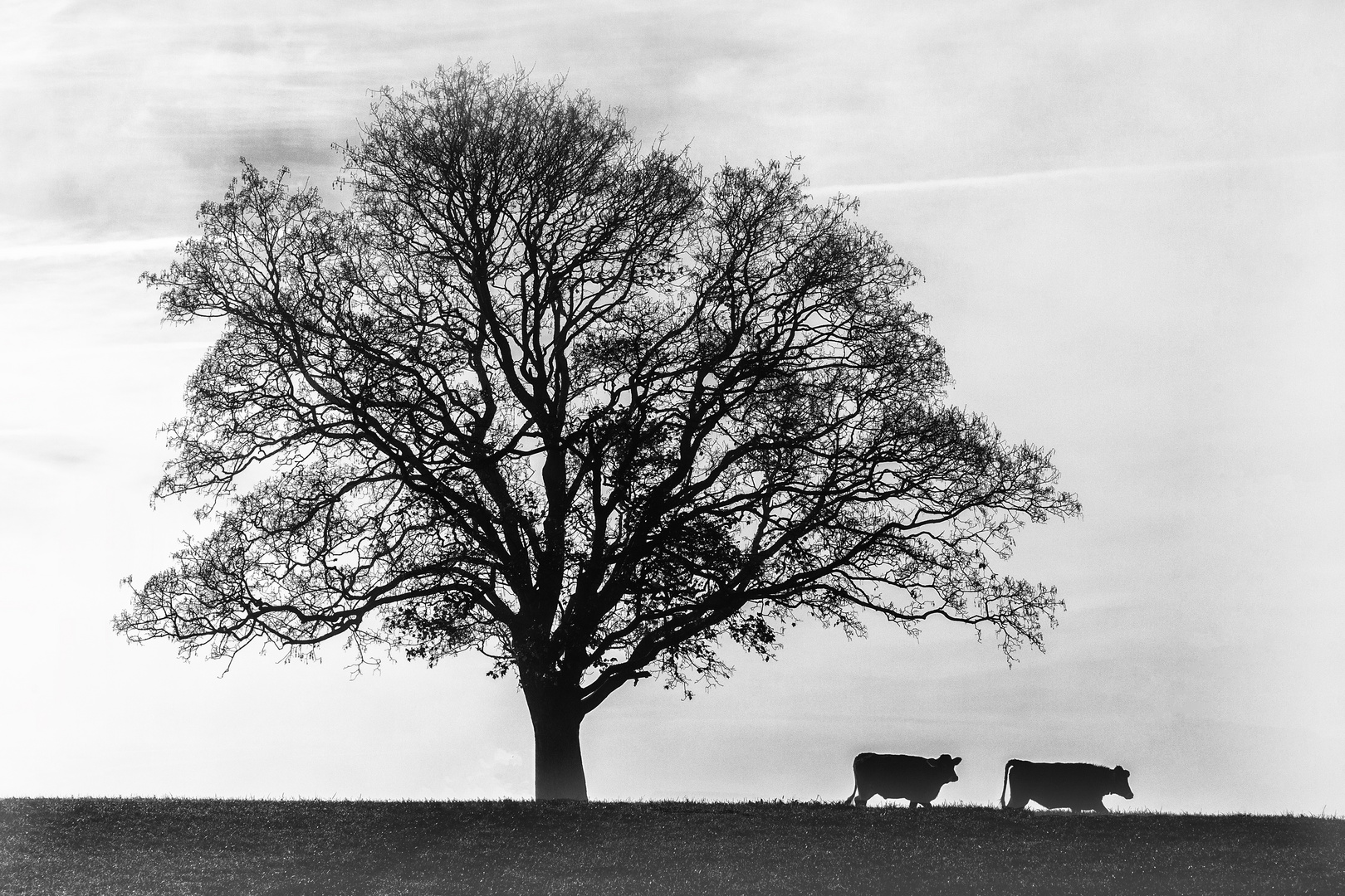 Herbstland