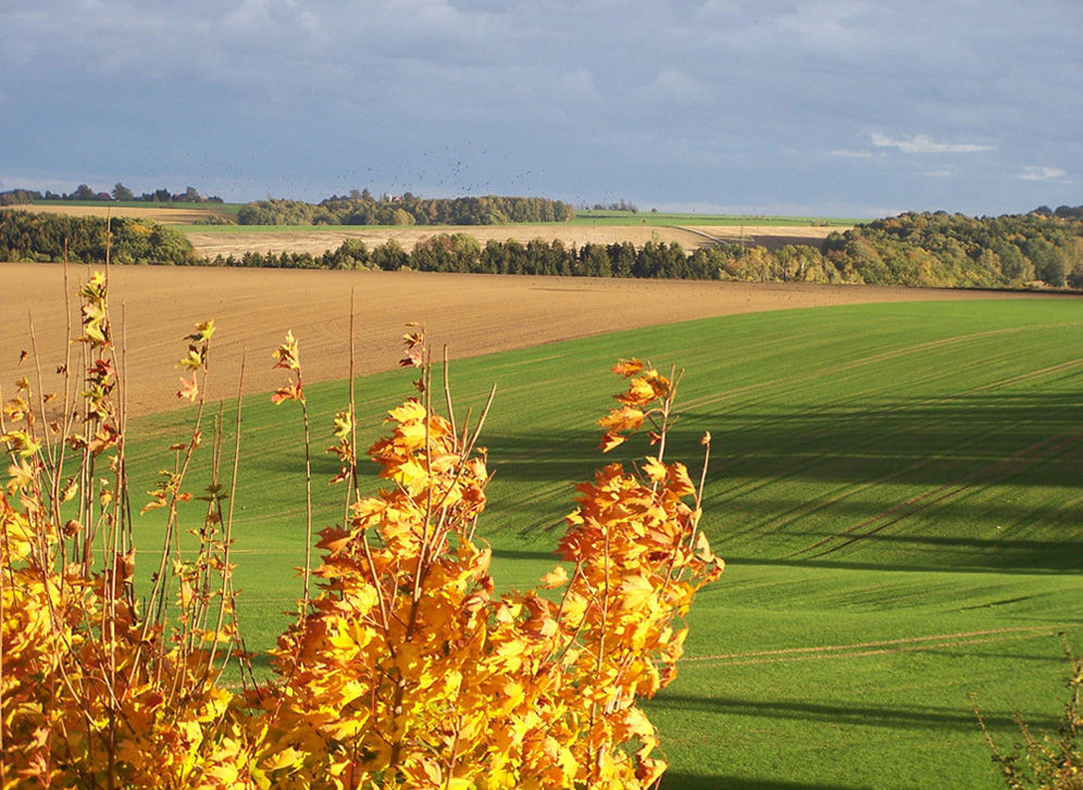 Herbstlandschaft