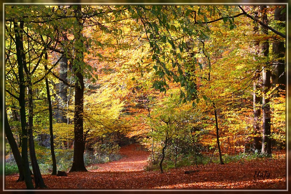 Herbstlandschaft,,