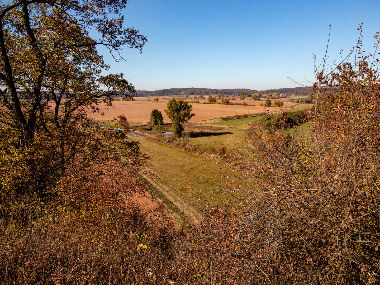 Herbstlandschaft