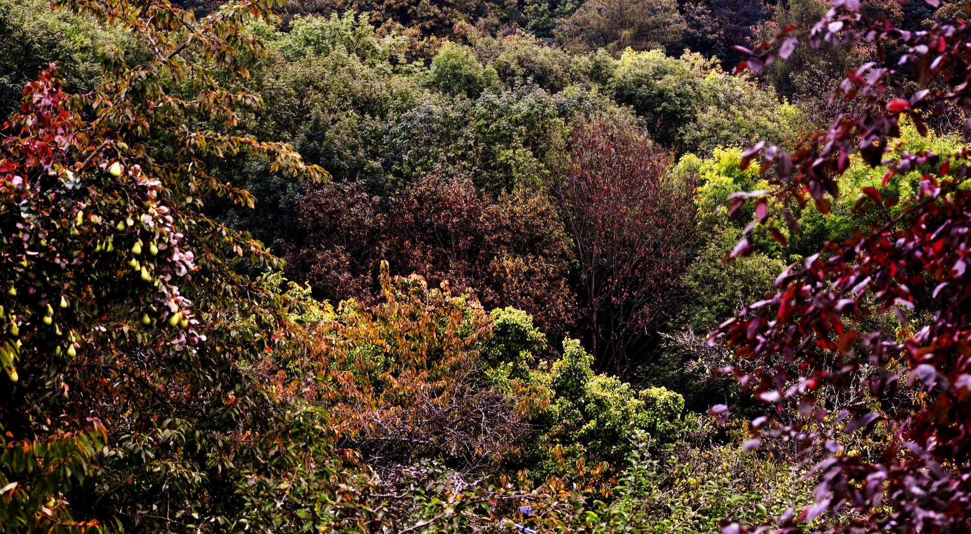 .....Herbstlandschaft....