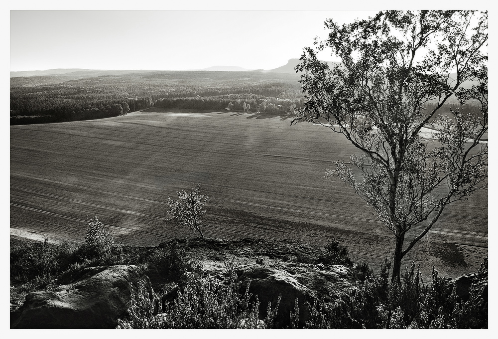 Herbstlandschaft