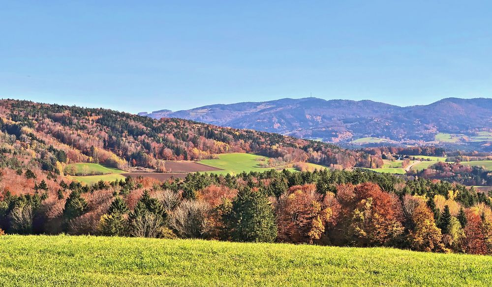 Herbstlandschaft