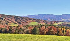 Herbstlandschaft