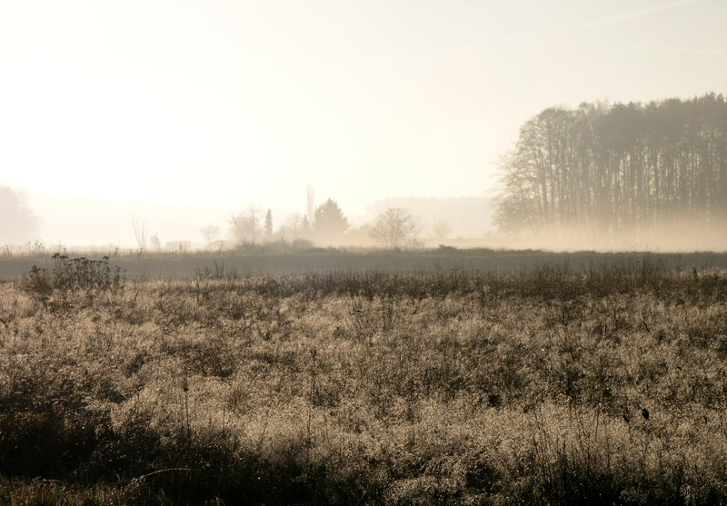 Herbstlandschaft 1