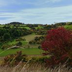 herbstlandschaft (1)