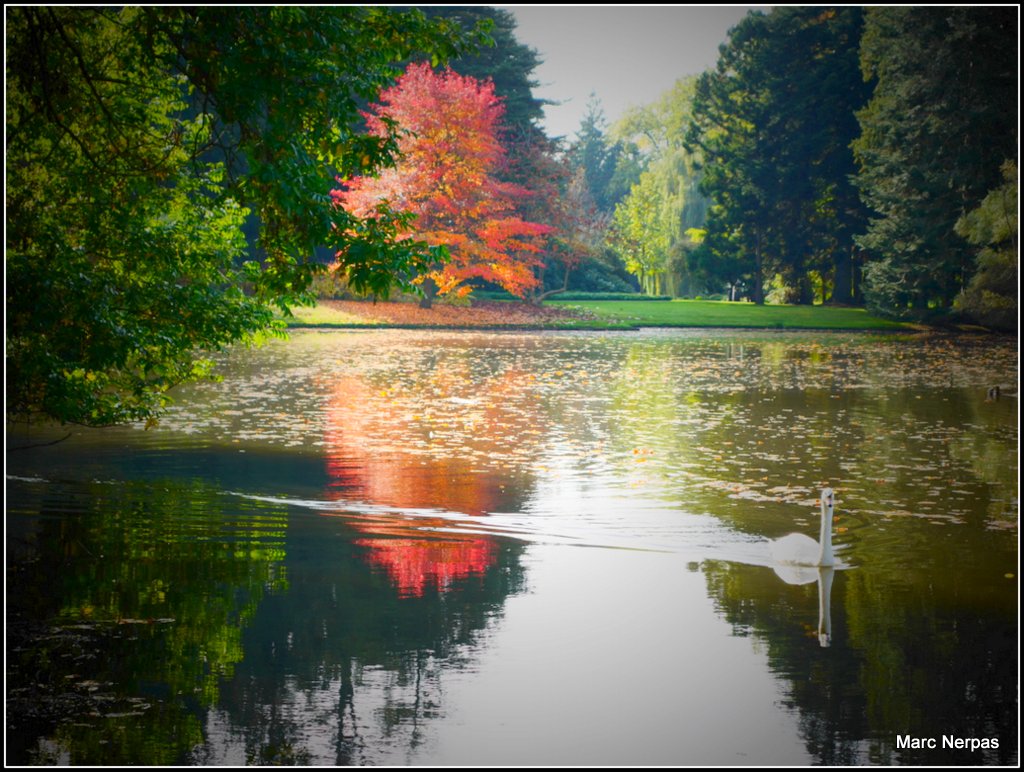 Herbstlandschaft 10