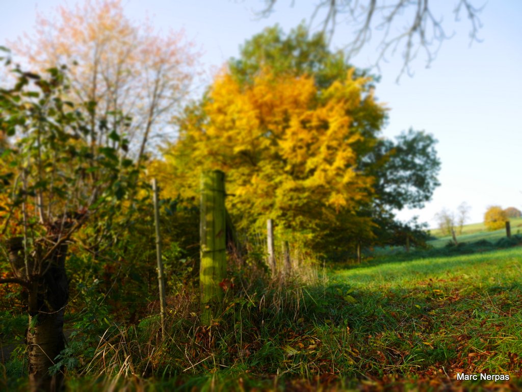 Herbstlandschaft 11