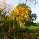 Herbstlandschaft 11