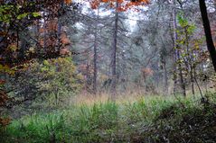 herbstlandschaft (11)