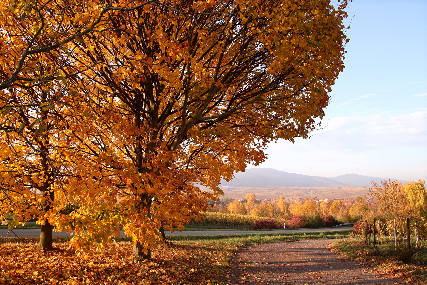 Herbstlandschaft