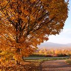 Herbstlandschaft