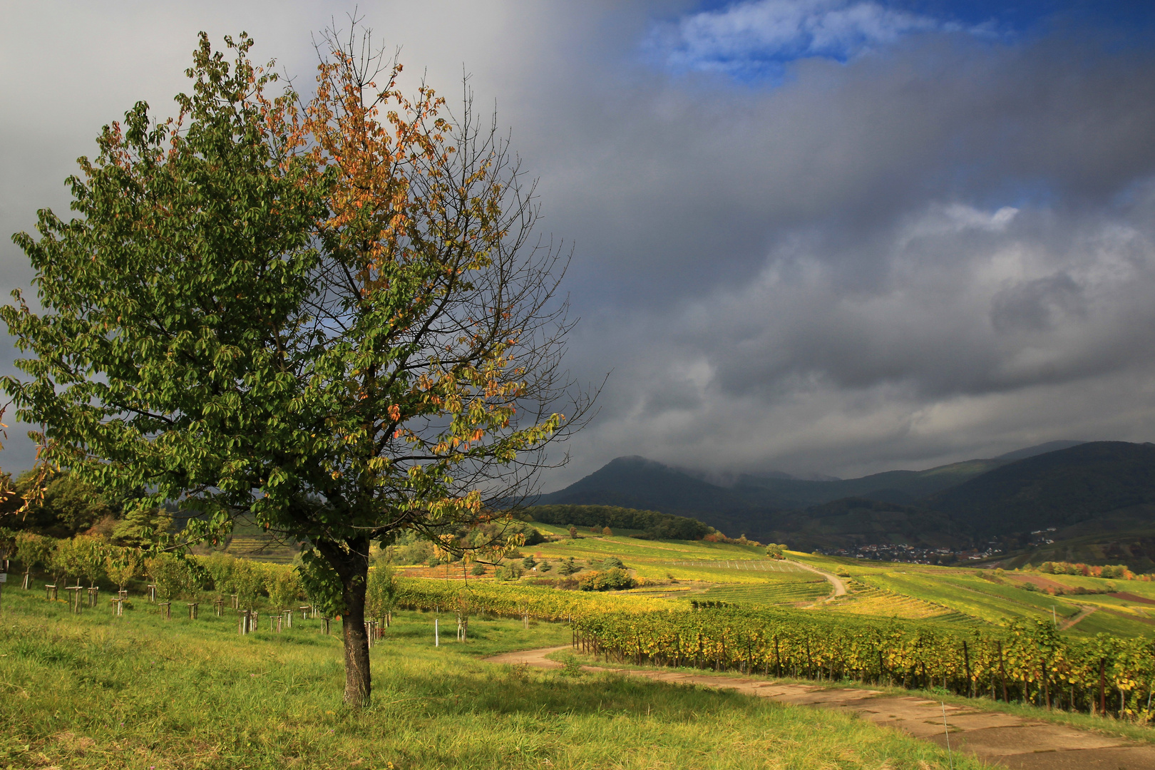 Herbstlandschaft