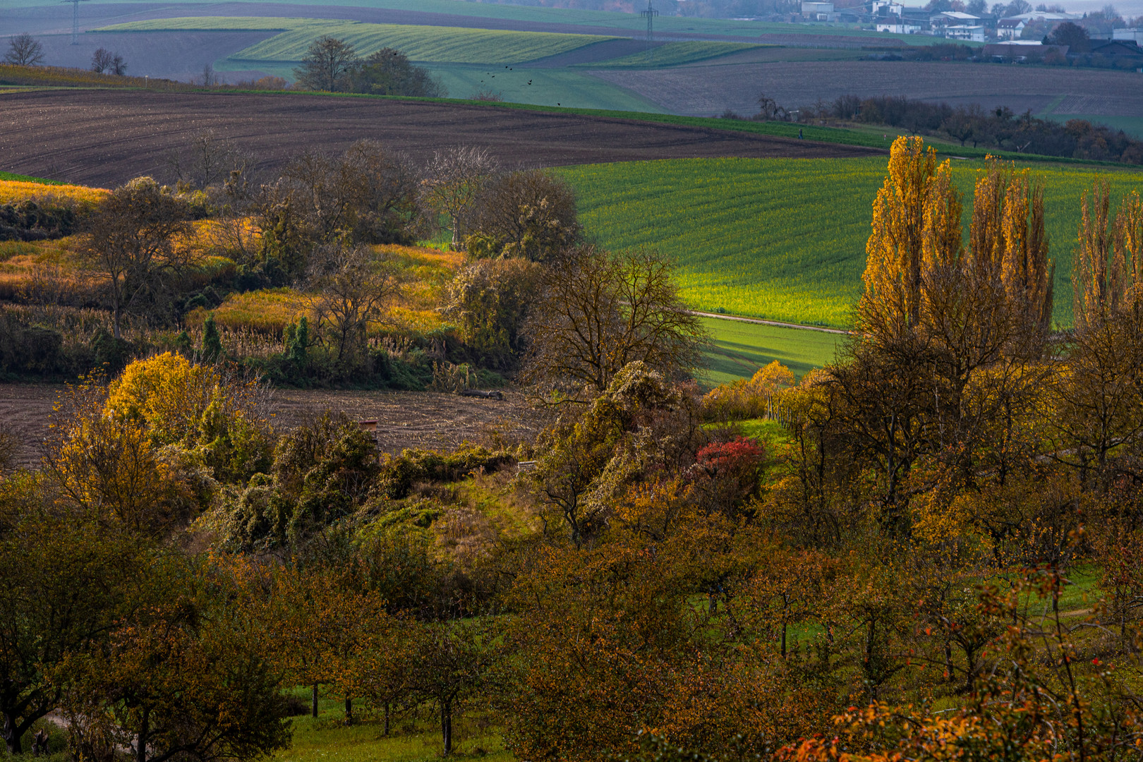 Herbstlandschaft