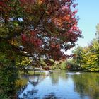 Herbstlandschaft 