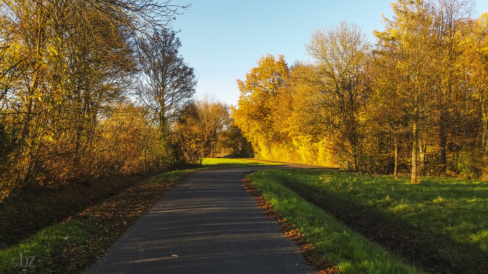 Herbstlandschaft