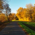 Herbstlandschaft