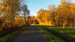 Herbstlandschaft