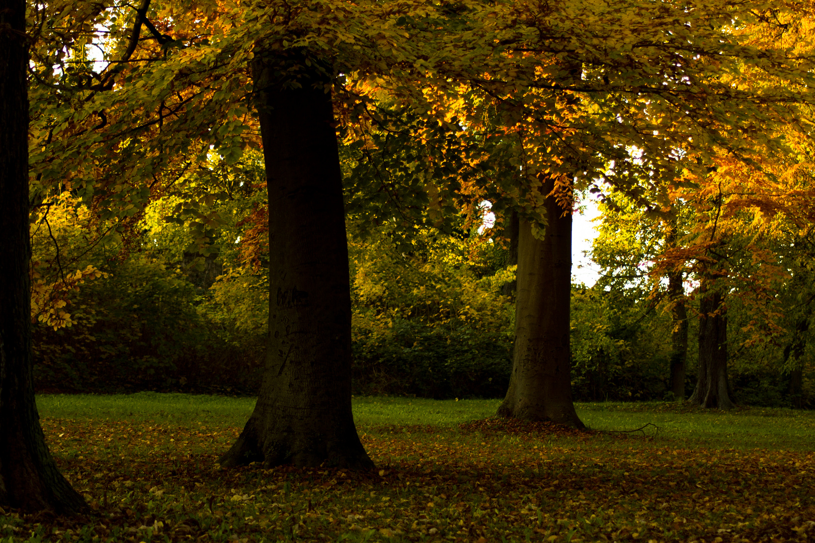 Herbstlandschaft