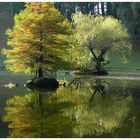 Herbstlandschaft