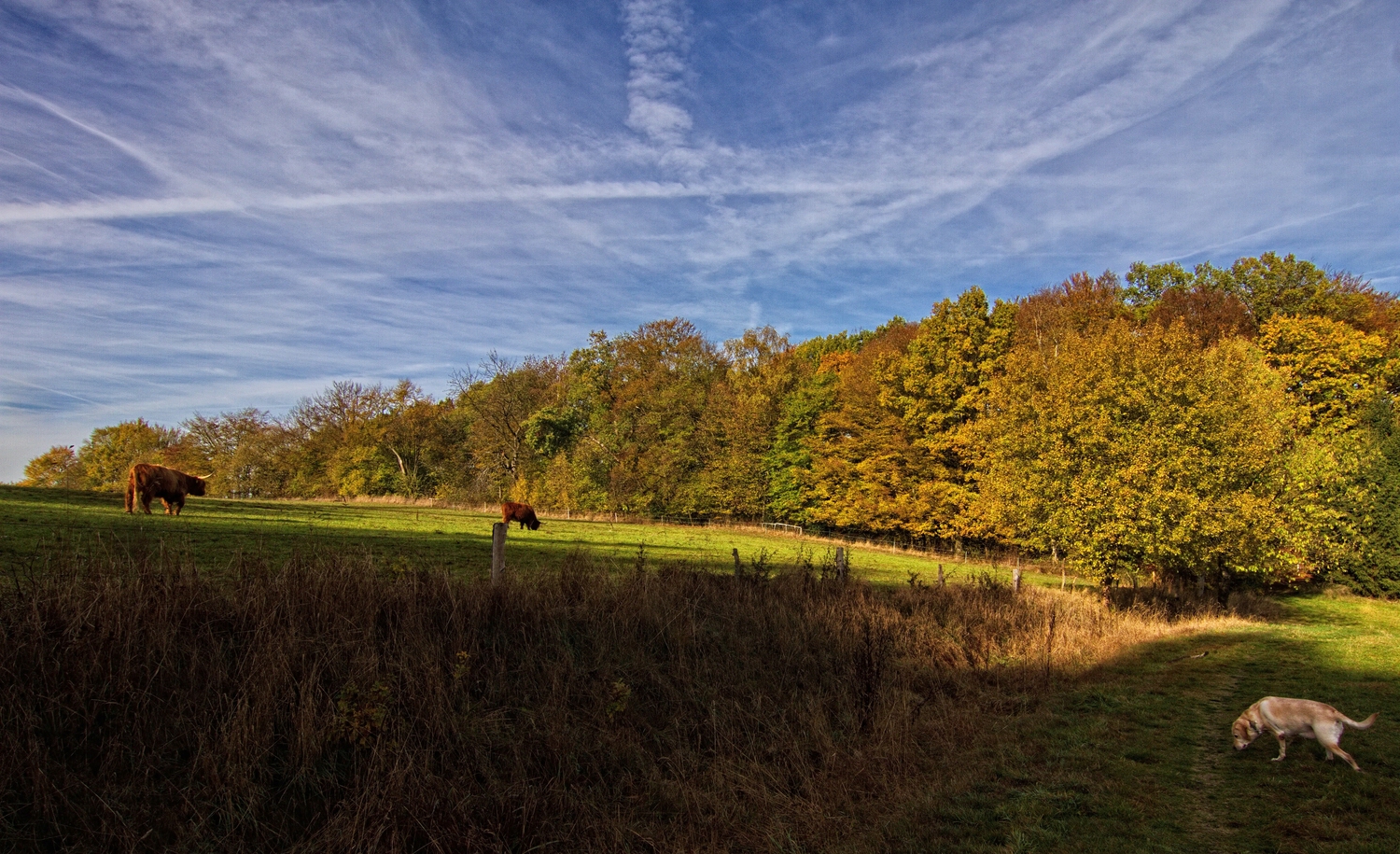 Herbstlandschaft