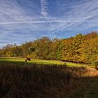 Herbstlandschaft