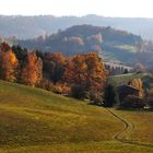 Herbstlandschaft