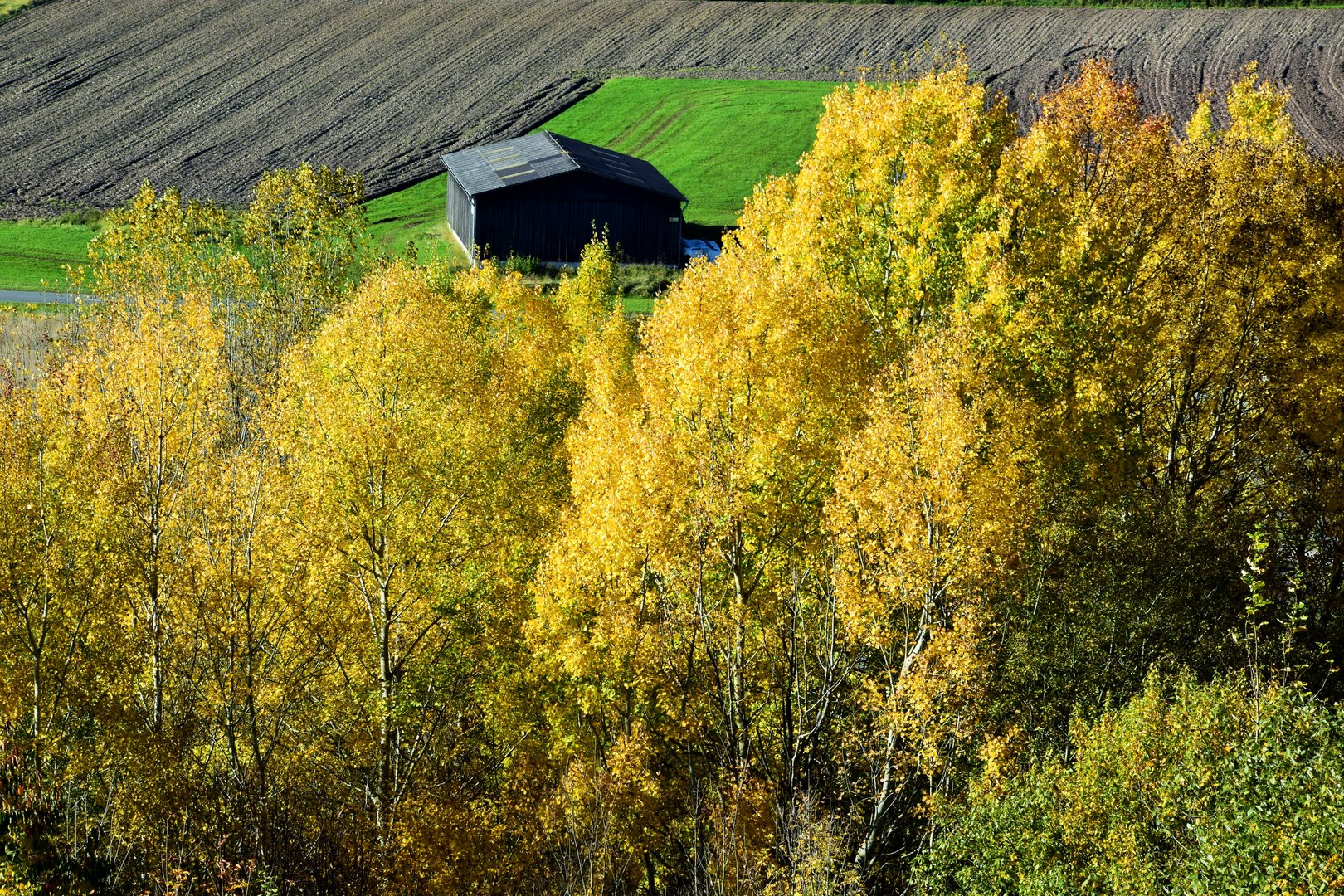 Herbstlandschaft 2