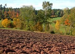 Herbstlandschaft #2