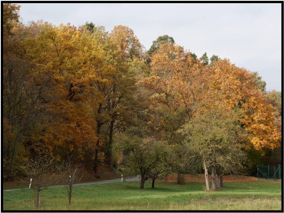 Herbstlandschaft 2