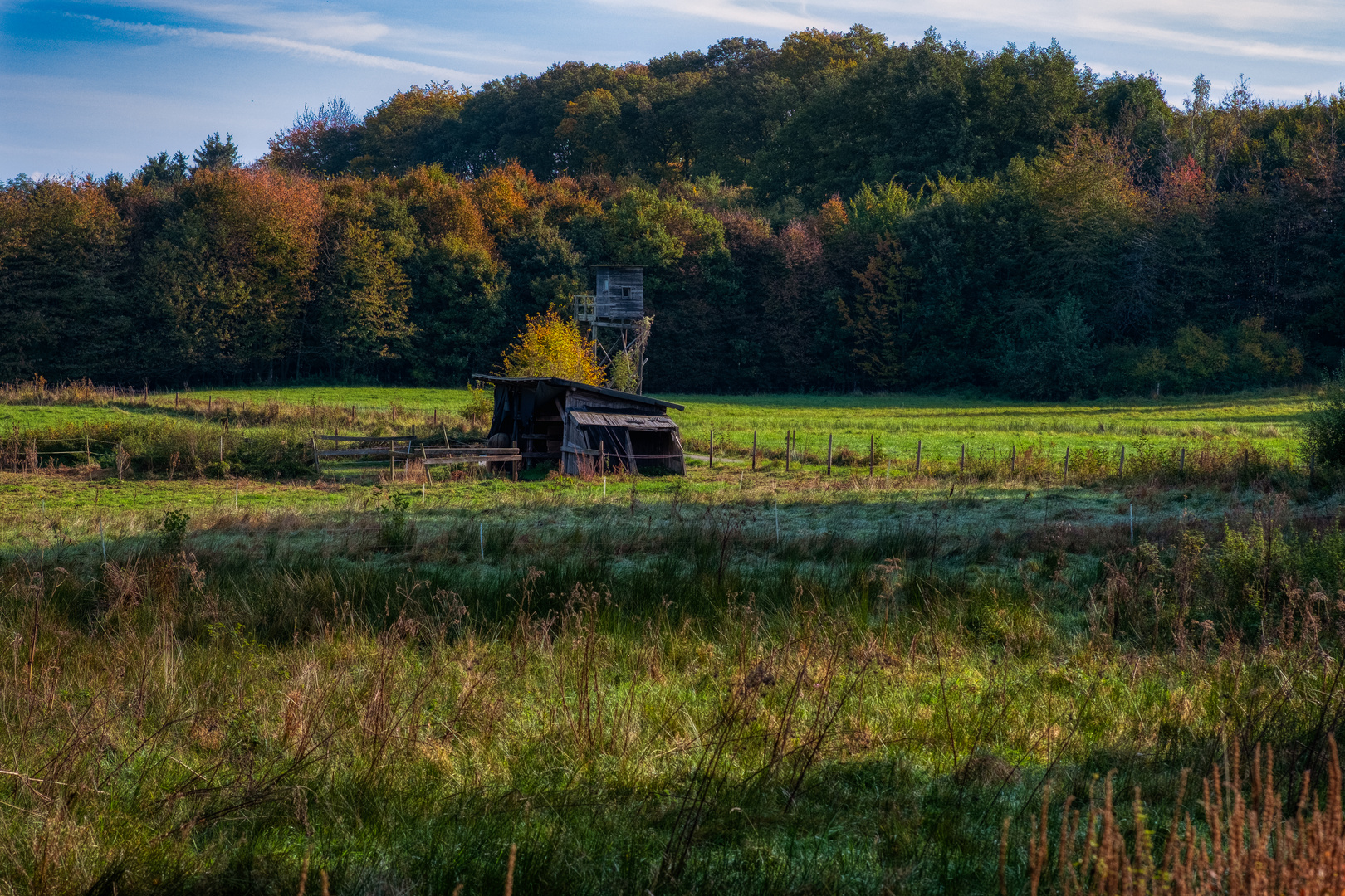 Herbstlandschaft 21