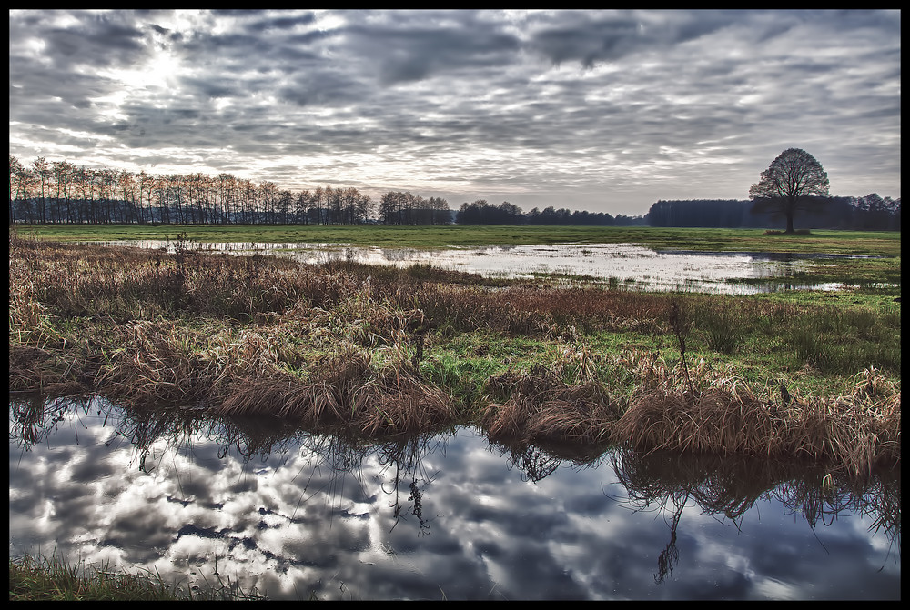 Herbstlandschaft