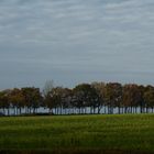 Herbstlandschaft