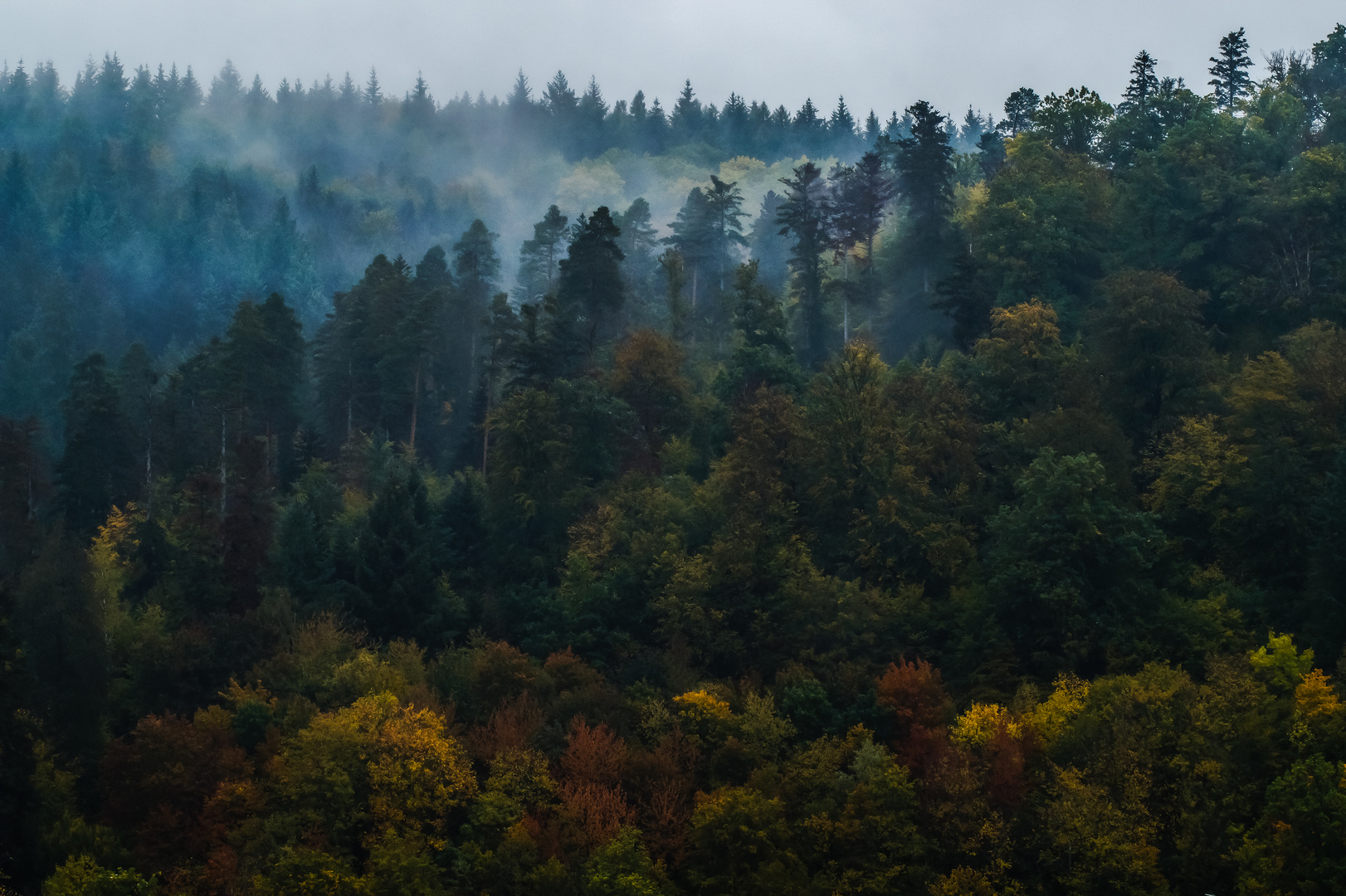 Herbstlandschaft