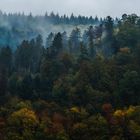 Herbstlandschaft