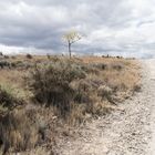 Herbstlandschaft