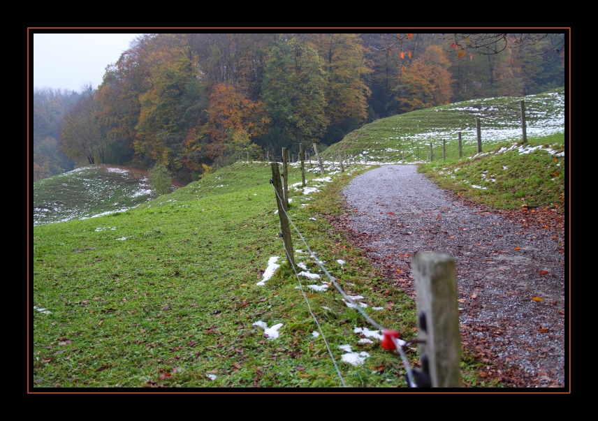 Herbstlandschaft