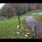 Herbstlandschaft