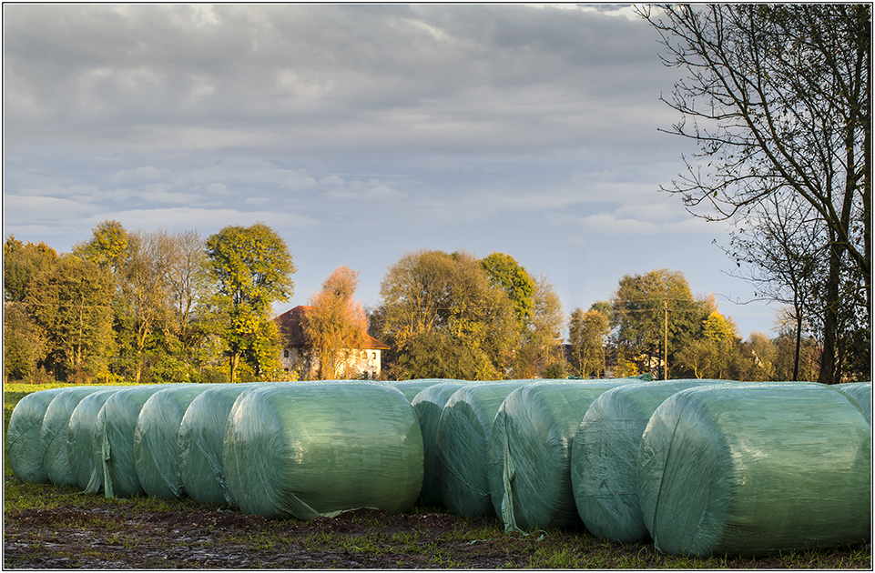 Herbstlandschaft