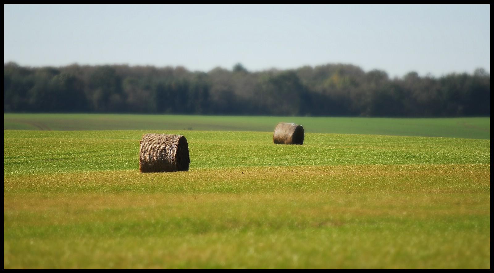 Herbstlandschaft