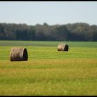 Herbstlandschaft