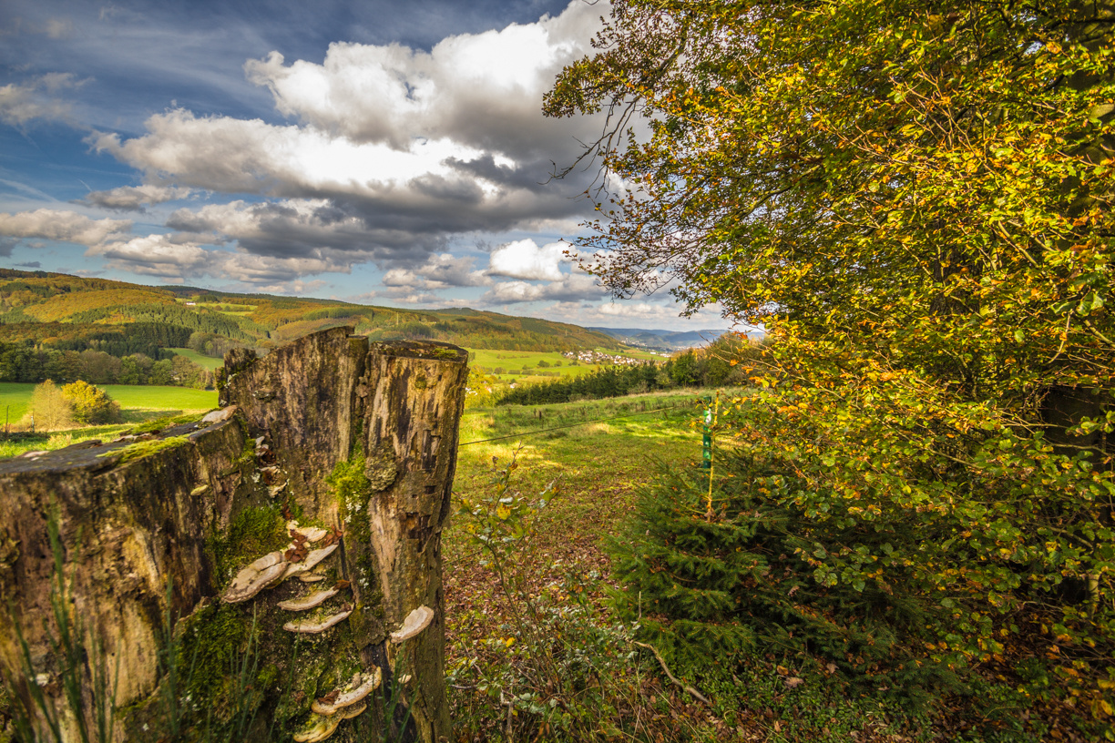 Herbstlandschaft