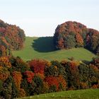 Herbstlandschaft