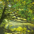 Herbstlandschaft