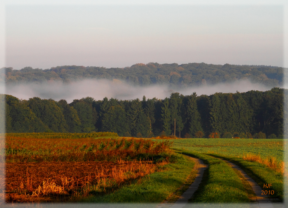 Herbstlandschaft