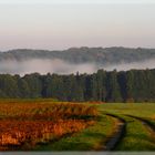 Herbstlandschaft