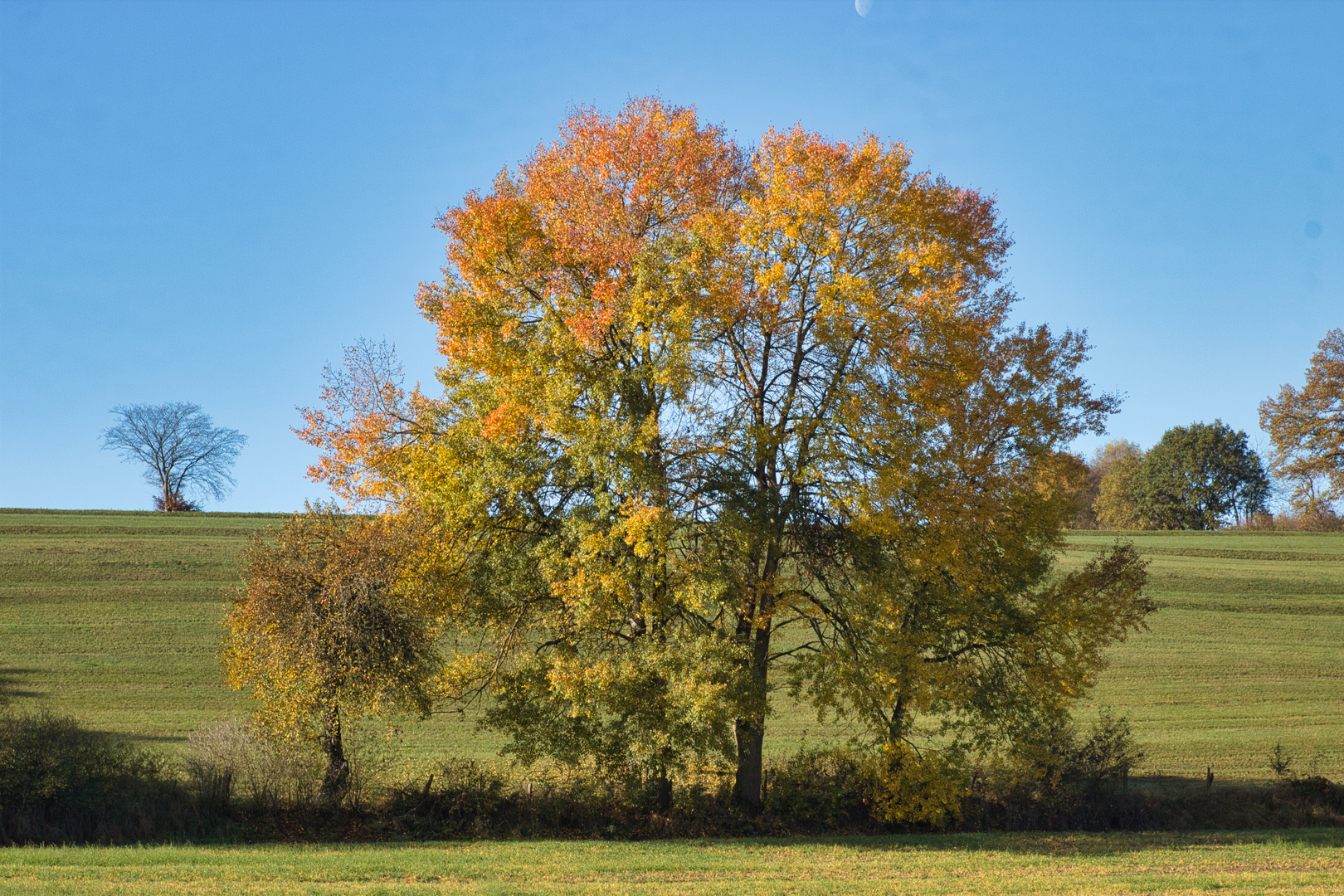 Herbstlandschaft Foto Bild Deutschland Europe Hessen Bilder Auf Fotocommunity